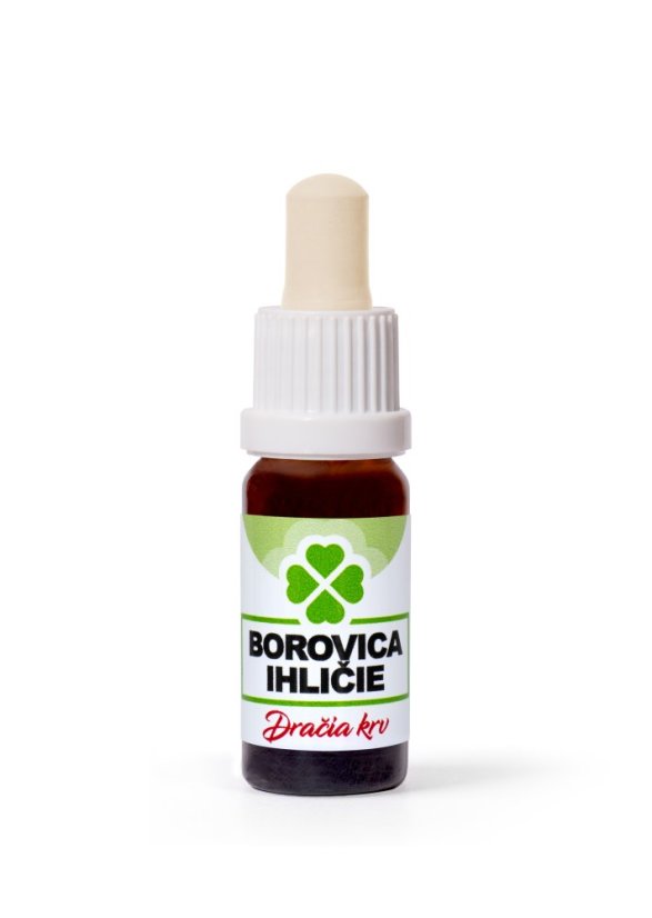 DRAGON HERBS - Dračia krv Borovica - ihličie 10 ml (pri kúpe 3ks + 1ks GRATIS)