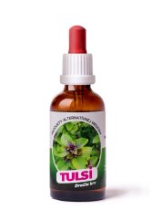 Dračia krv Tulsi (2025)