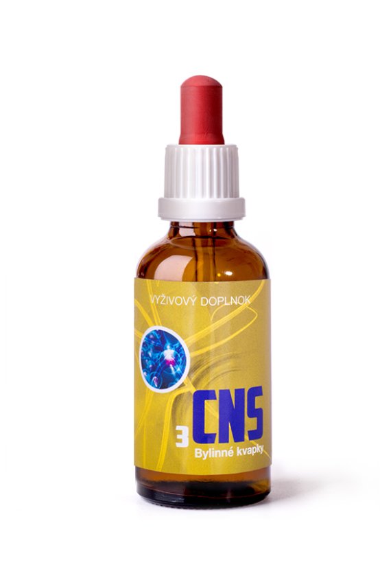 CNS 3 (2025)